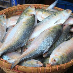 ৬ কেজি — ৬ পিস = ৩,৬০০ টাকা